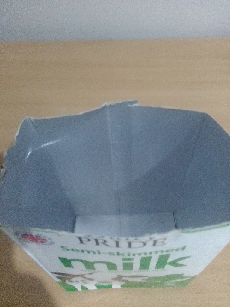 Inside a Milk Carton Pot