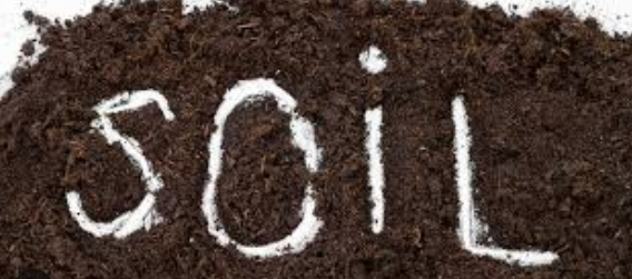 The best Soil for a home based plant business