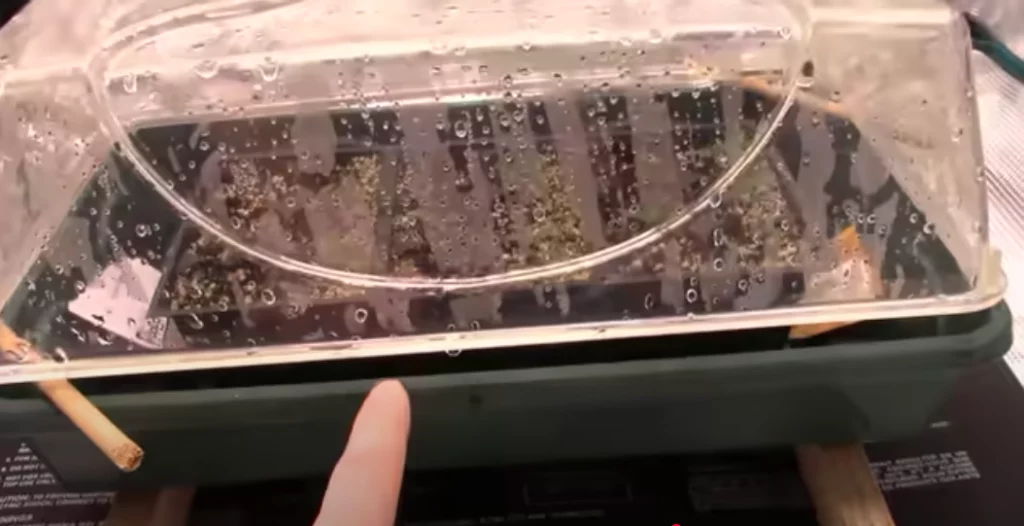 How to Ventilate a propogation box
