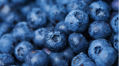 Blueberries High-Value Plants You Can Grow for Profit