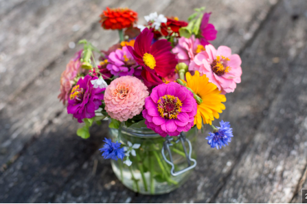 Cut Flowers High-Value Plants You Can Grow for Profit