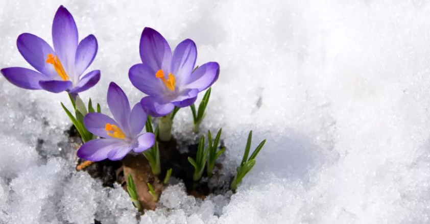 The U.K Growing Season