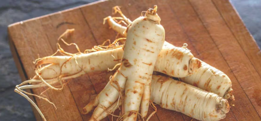 Ginseng High-Value Plants You Can Grow for Profit