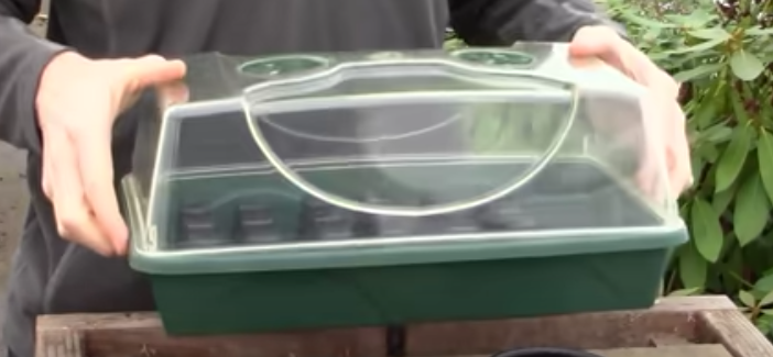 Plant Propagation 101