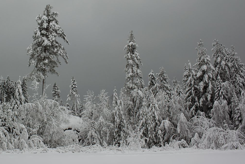 Winter The U.k Growing season