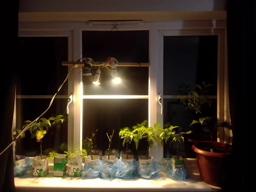 DIY Grow Light